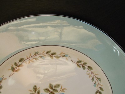 Barratt’s England Delphatic White 10