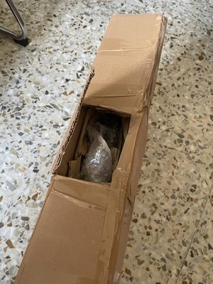 Artikelfoto(s) von einem verifizierten Käufer