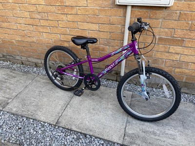 Apollo 20 Inch girls Bike