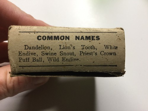 Vintage Crude Drug, Dandelion Root, Murray & Nickell Chicago