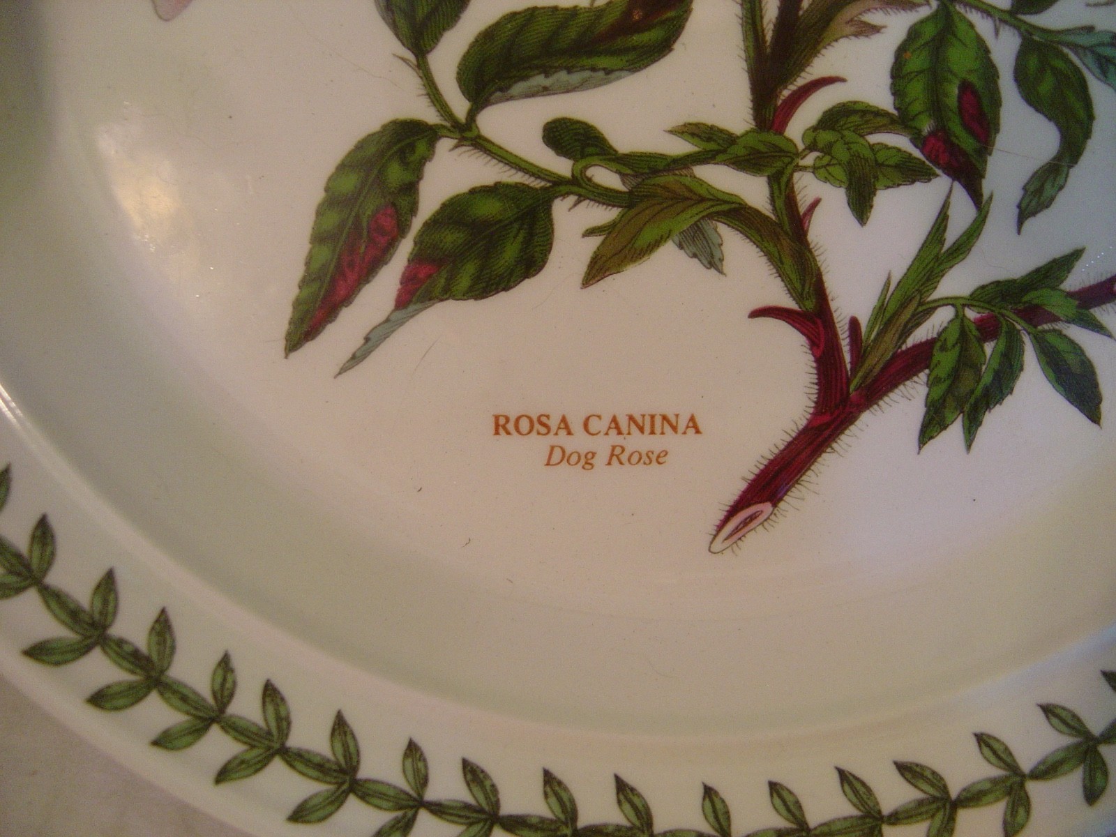 PORTMEIRION BOTANIC GARDEN ONE TIER SNACK PLATE WITH HANDLE