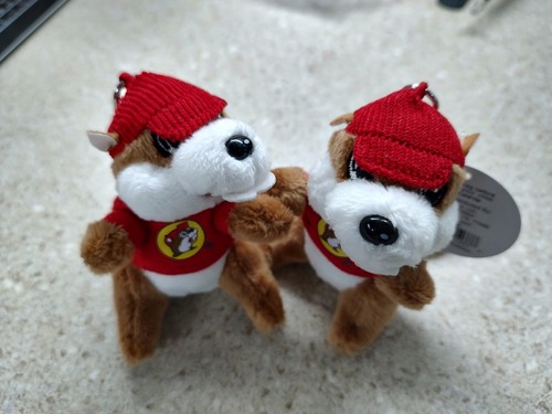 Two (2) Buc-ee's Beaver Beanie Plush Backpack Clip Key Chain