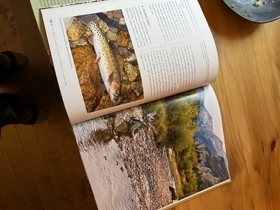 Fotos del artículo de un comprador verificado