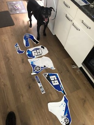 Item photo(s) from verified buyer