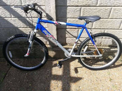 raleigh manta ray mountain bike