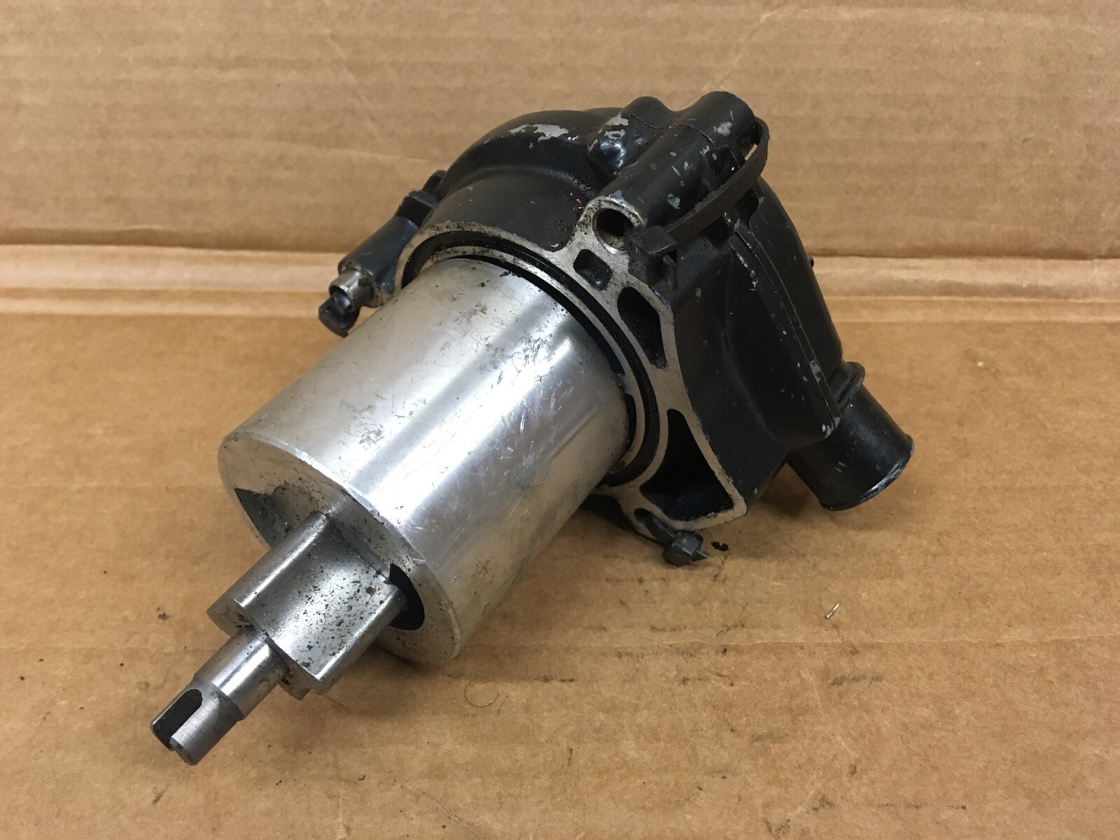シバ s-l1200.jpg