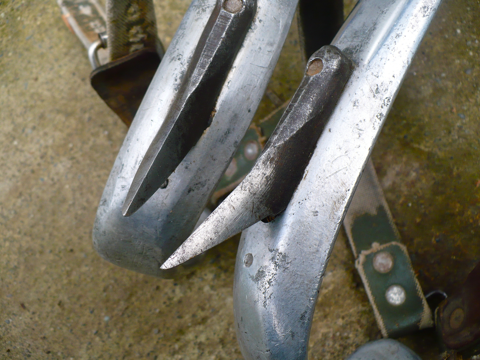 Bashlin Aluminum Lineman Climbers w/ Buckingham Cinch C Pads