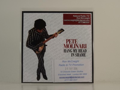 PETE MOLINARI HANG MY HEAD IN SHAME (H1) 1 Track Promo CD Single Picture Sleeve