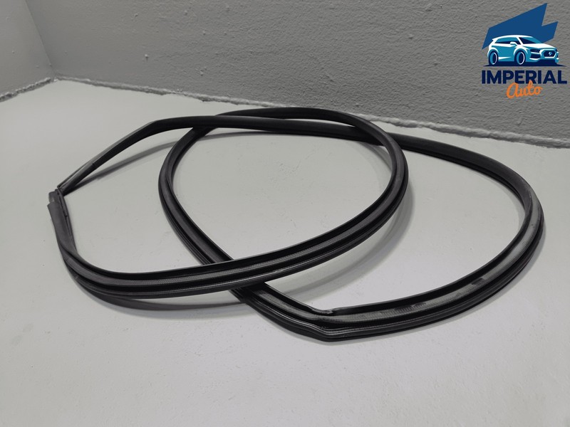 Used 2019-2025 Toyota RAV4 Rear Left Driver Door Body Weatherstrip Seal OEM