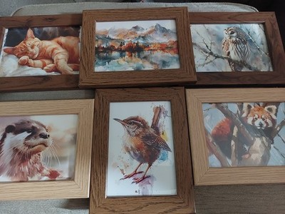 Artikelfoto(s) von einem verifizierten Käufer