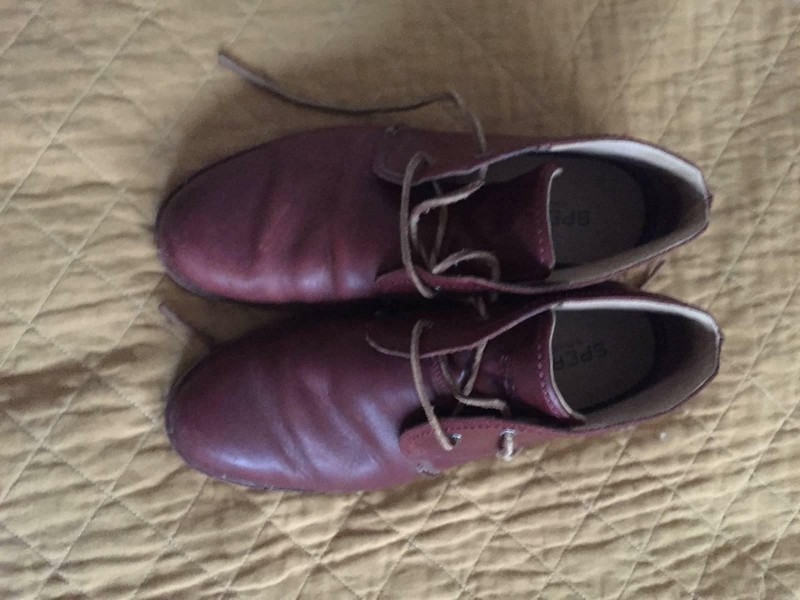 size 13 desert boots