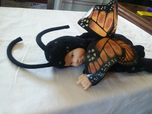 BABY BUTTERFLIES BY ANNE GEDDES - BEAN FILLED COLLECTION Monarch