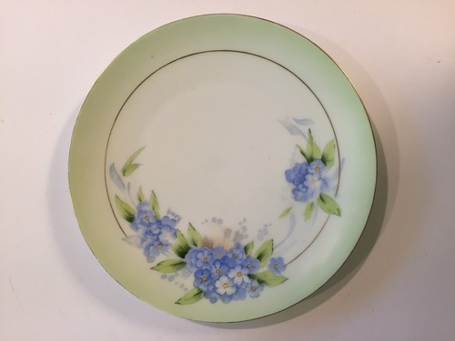 PT Early Tirschenreuth Hand Painted Plate Signed Rosch Blue Floral Bavaria 8.5