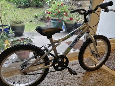 Silver Dawes Blowfish 16 inch wheels, aluminium frame&nbsp;