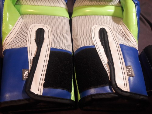 Everlast Pro Style Elite Evershield Training Gloves 12 oz. Purple & Yellow new