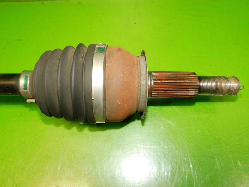 Picture 3