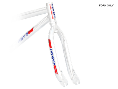 Skyway ta hotsell frame and fork