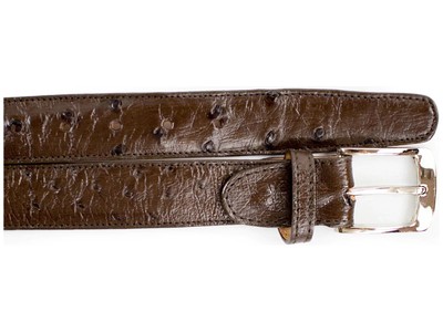 Pre-owned Belvedere Men's  Belt Genuine Ostrich Quill Up To Size 44 2001 Brown