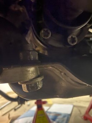 Fotos del artículo de un comprador verificado