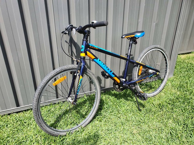 giant veer 24