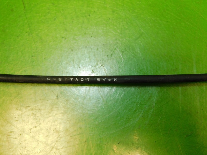 Picture 4