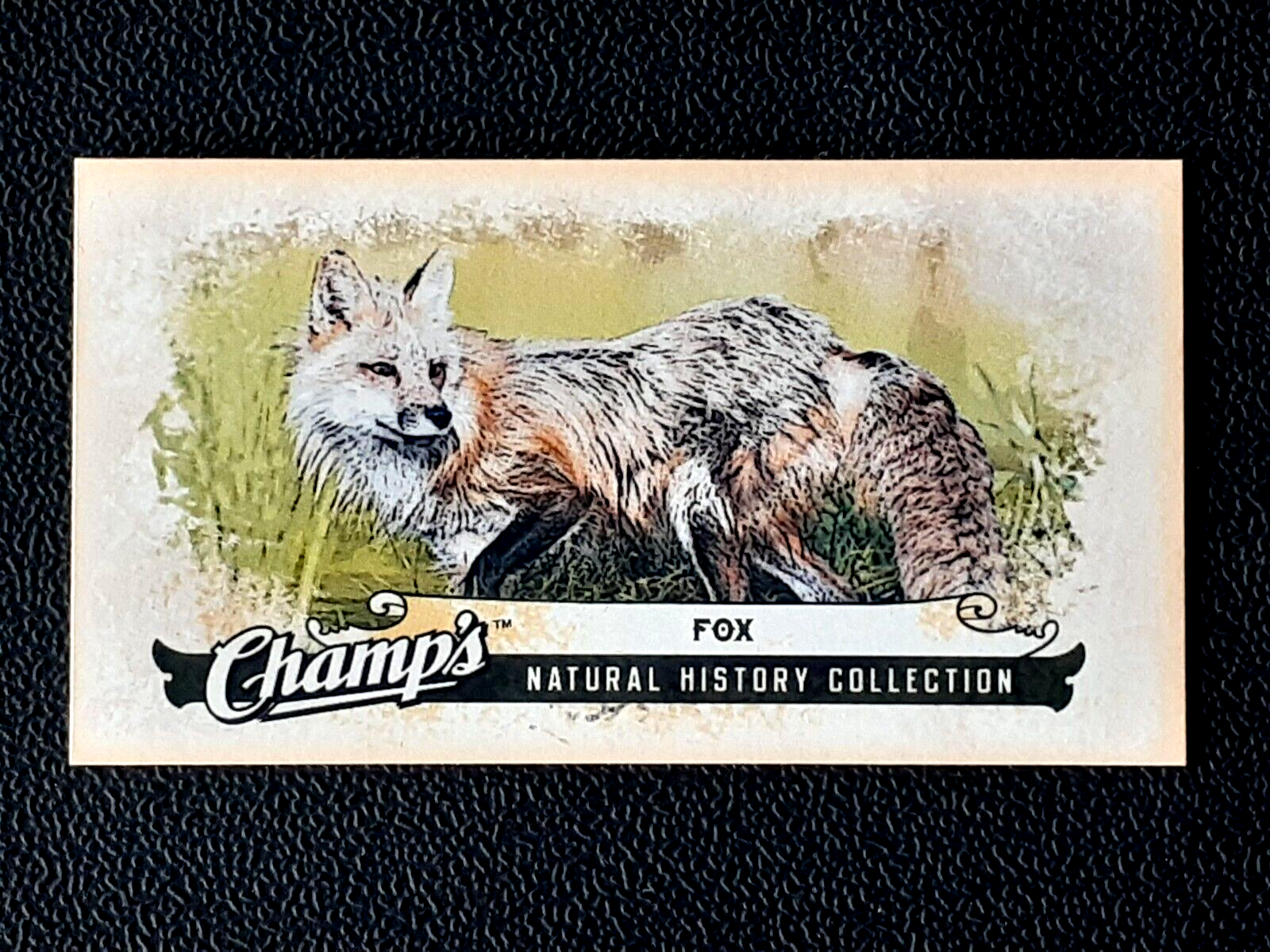 FOX 2008-09 UPPER DECK CHAMP'S MINI 08-09 NO C363 55582 | eBay