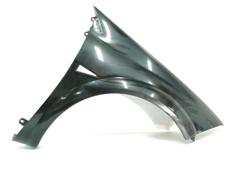 8200495406 Aile Avant Droite Pour Renault Megane Ii Berlina 5p
