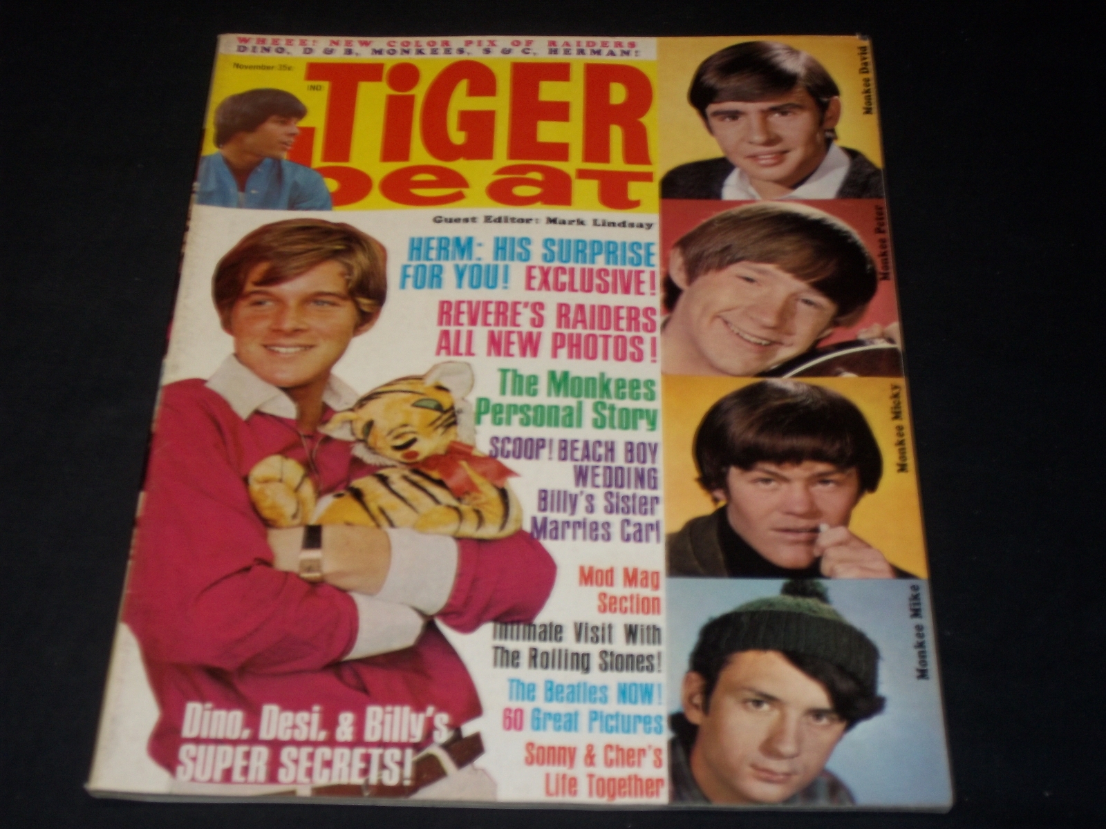 1966 NOVEMBER TIGER BEAT MAGAZINE - NICE FRONT COVER & COLOR 1966 NOVEMBER TIGER BEAT MAGAZINE - NICE FRONT COVER & COLOR