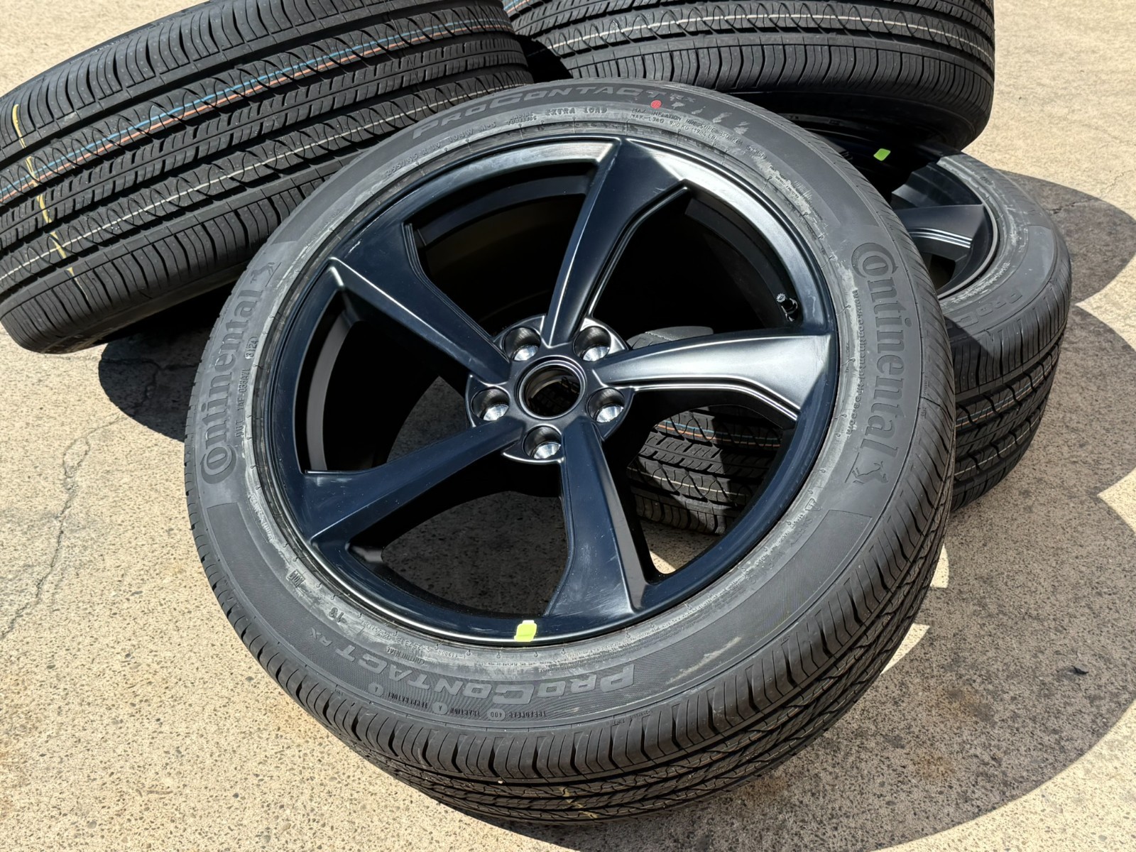 $_57.JPG?set_id=880000500F