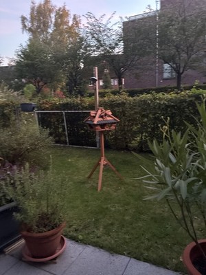 Artikelfoto(s) von einem verifizierten Käufer