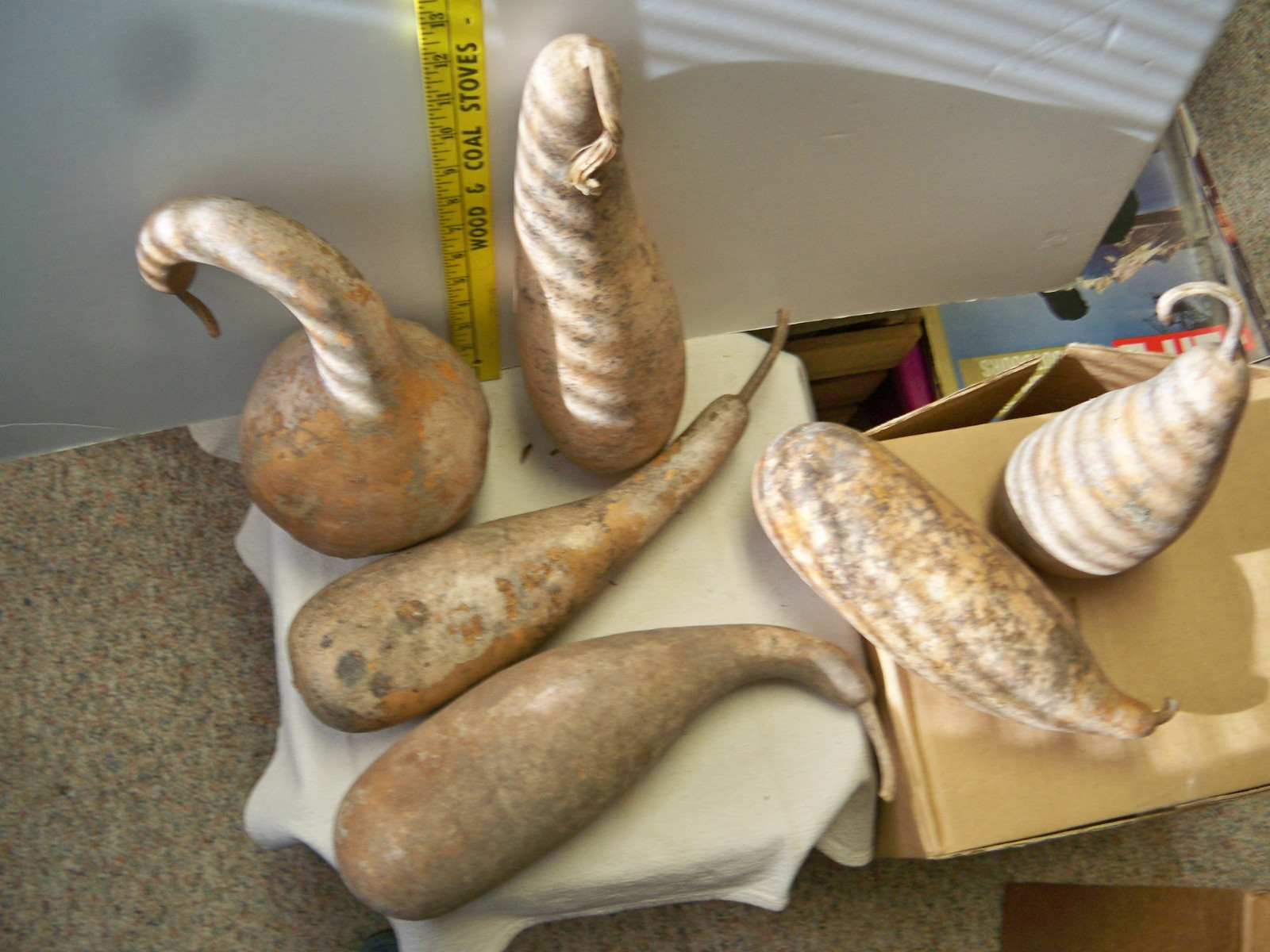 6 grungy gourds-various sizes and shapes Box #2