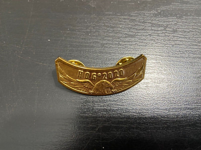 2020 Harley Davidson Owners Group (HOG) Rocker Pin
