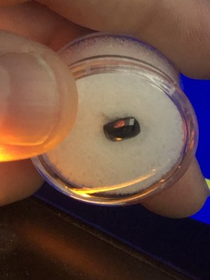 Photos de l'objet d'un acheteur vérifié