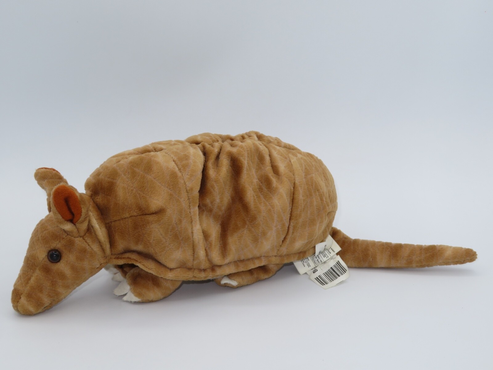 Pier 1 Imports Armadillo 14