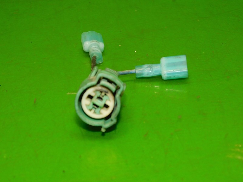 Picture 2