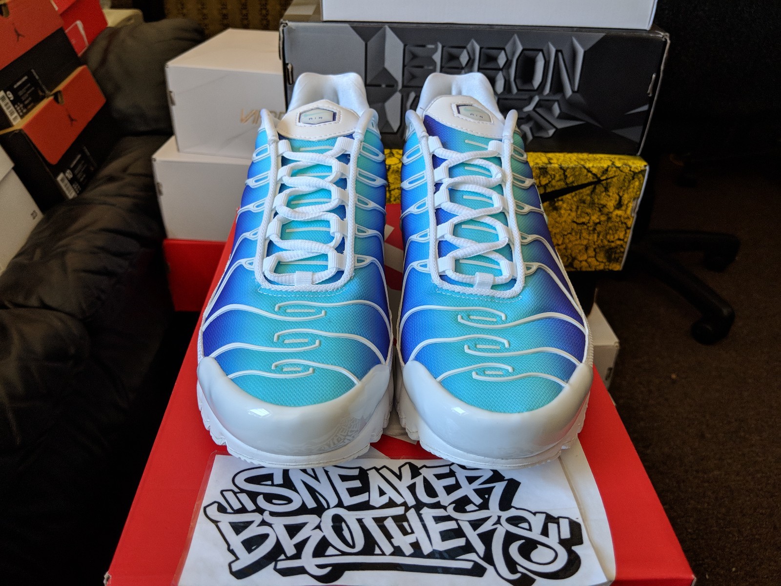 tn white fierce purple