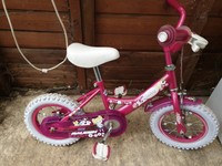 molly raleigh bike
