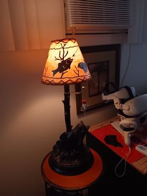 Item photo(s) from verified buyer