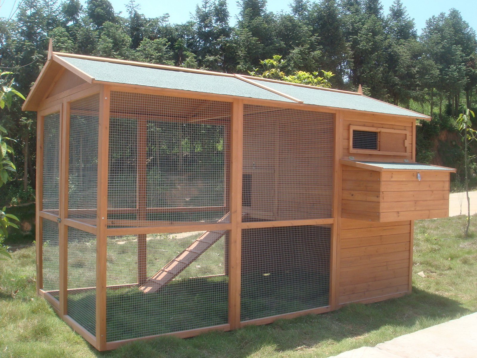 Chicken Coop Build A Chicken House Is
