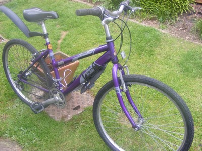 LADIES RALEIGH VIXEN MOUNTAIN BIKE