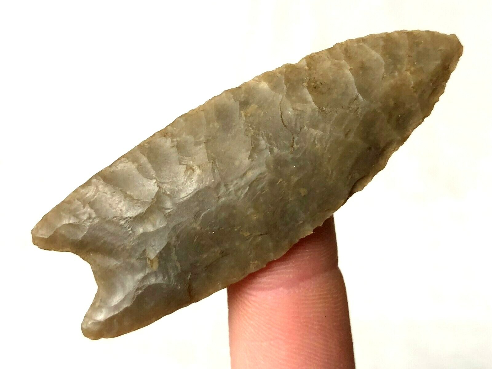 EXCEPTIONAL PALEO BARBER POINT BELL CO., TEXAS AUTHENTIC ARROWHEAD ARTIFACT B24