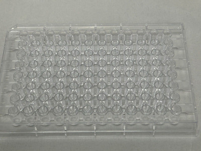 Corning 96-well Half Area Clear Flat Bottom Microplate (1 box of 25 plates)
