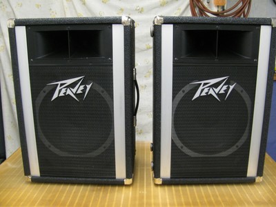 peavey sp1g