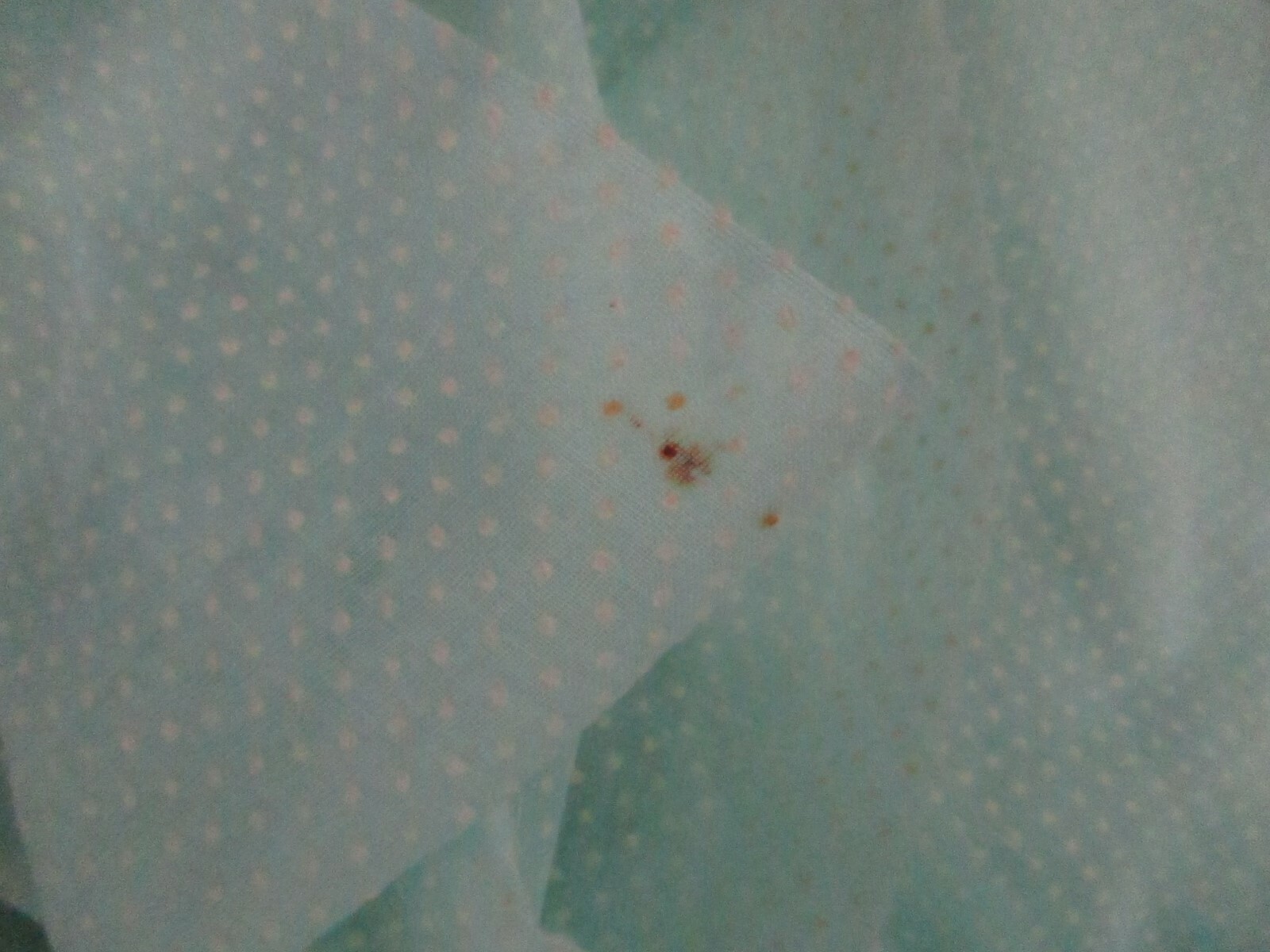 Dotted Swiss Fabric  Cotton/Cotton Blend  Vintage Fabric mint green 1.5 Yds