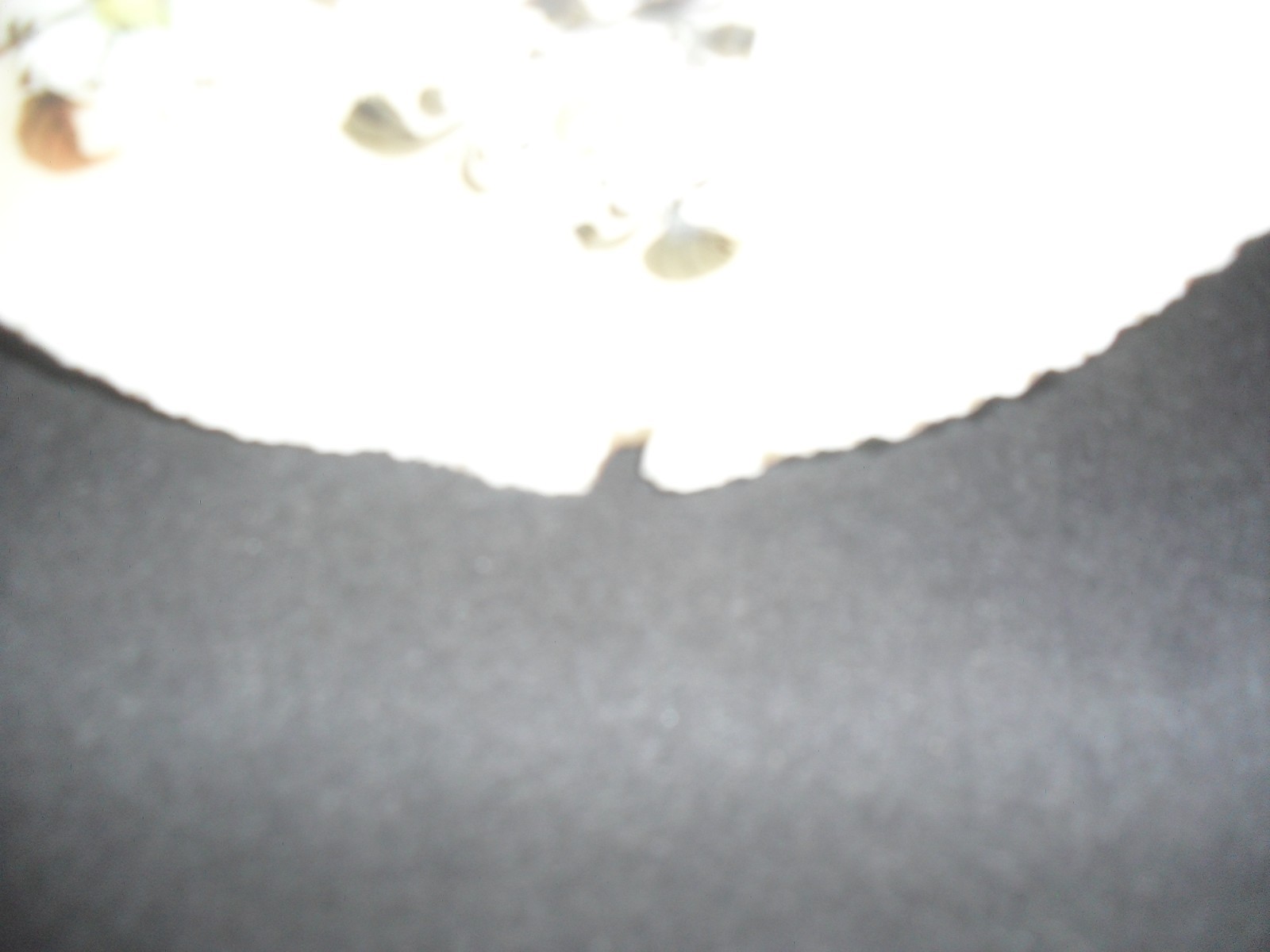 Antique Porcelain Japanese Plate Meiji Period Butterflies Floral Decoration