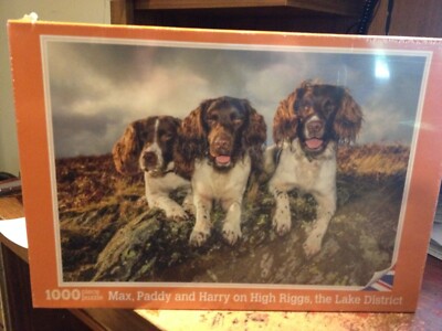 MAX, PADDY AND HARRY ON THE HIGH RIGGS, THE LAKE DISTRICT UK '' NEW SEALED '' RARE