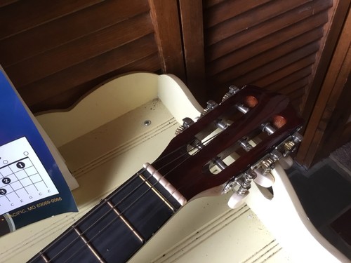 BURSWOOD BEGINNERS GUITAR JF-30S & INSTRUCTION BOOK NEEDS STRINGS