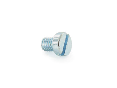 Zylinderschraube, Schlitz M10x12 - DIN84