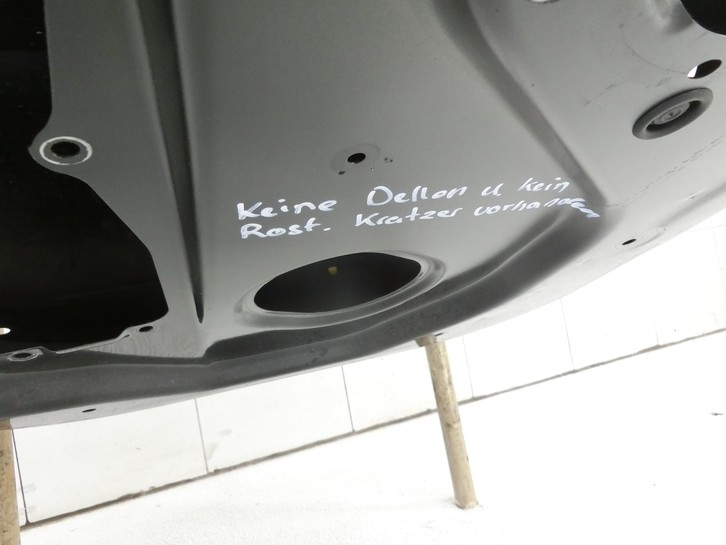 Range Rover Sport LS 10-13 Tür Links Hinten - Bild 5