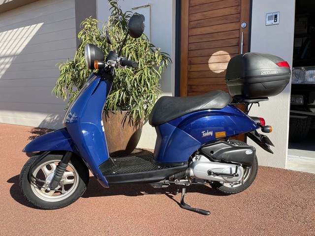 Honda today 50